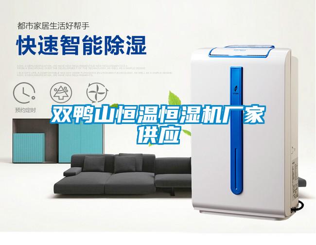 雙鴨山恒溫恒濕機廠家供應(yīng)