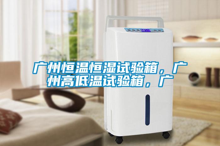 廣州恒溫恒濕試驗箱，廣州高低溫試驗箱，廣