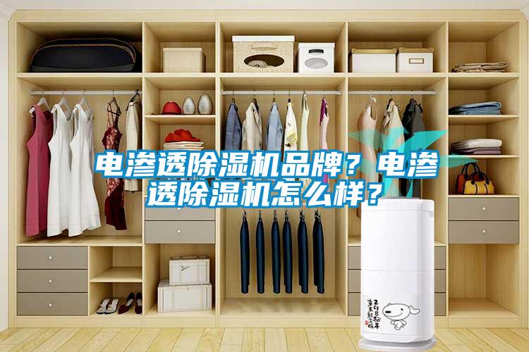 電滲透除濕機(jī)品牌？電滲透除濕機(jī)怎么樣？