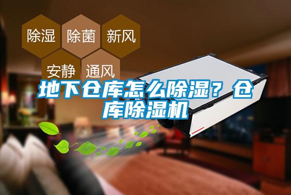 地下倉(cāng)庫(kù)怎么除濕？倉(cāng)庫(kù)除濕機(jī)