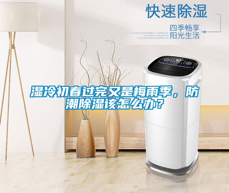 濕冷初春過完又是梅雨季，防潮除濕該怎么辦？