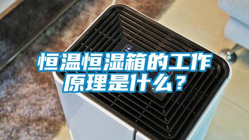 恒溫恒濕箱的工作原理是什么？