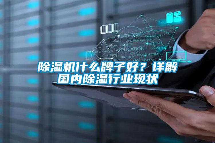 除濕機什么牌子好？詳解國內(nèi)除濕行業(yè)現(xiàn)狀