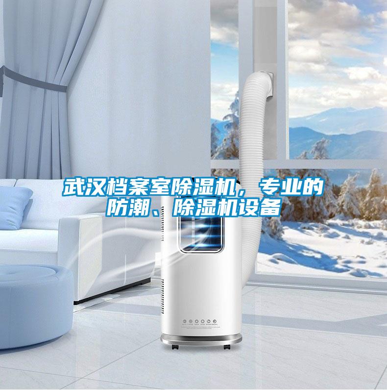 武漢檔案室除濕機，專業(yè)的防潮、除濕機設(shè)備