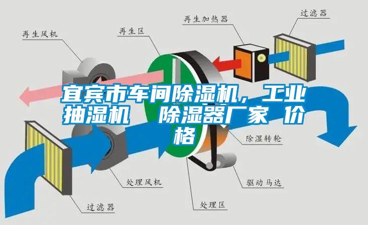 宜賓市車間除濕機(jī)，工業(yè)抽濕機(jī)  除濕器廠家 價格