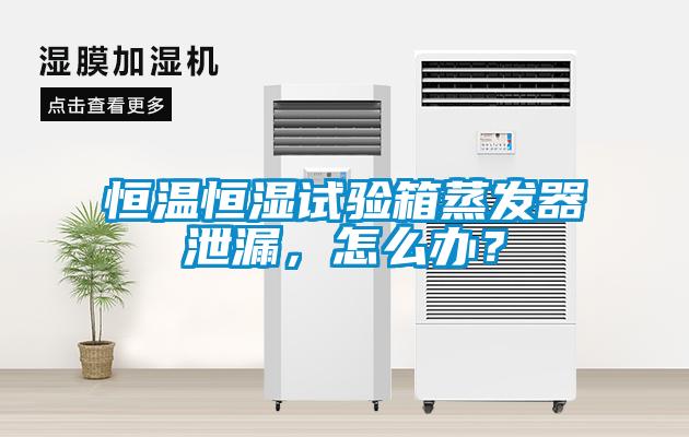 恒溫恒濕試驗(yàn)箱蒸發(fā)器泄漏，怎么辦？