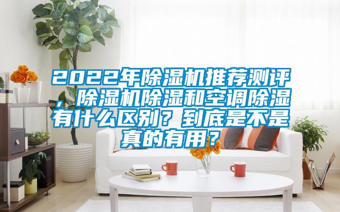 2022年除濕機推薦測評，除濕機除濕和空調(diào)除濕有什么區(qū)別？到底是不是真的有用？