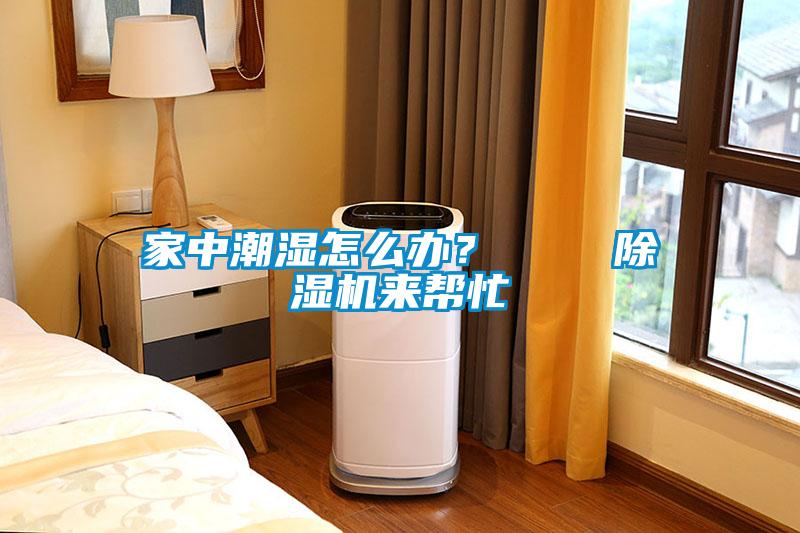 家中潮濕怎么辦？    除濕機來幫忙