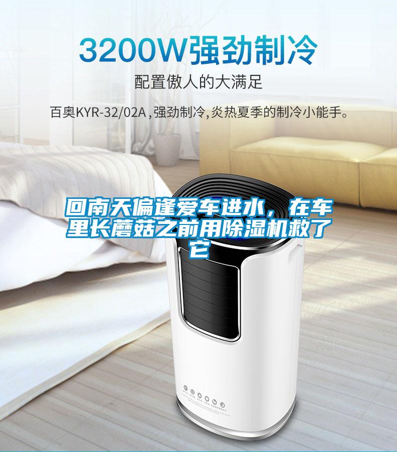 回南天偏逢愛車進水，在車里長蘑菇之前用除濕機救了它