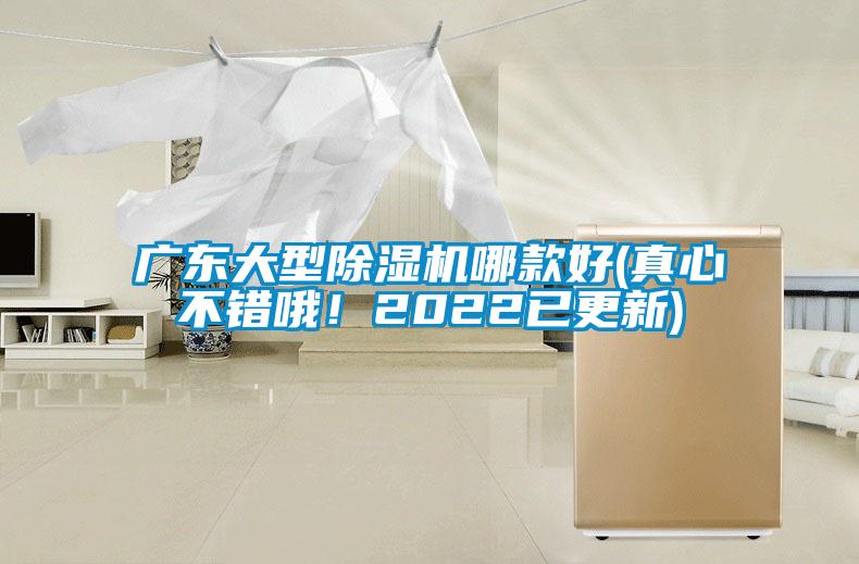 廣東大型除濕機(jī)哪款好(真心不錯(cuò)哦！2022已更新)