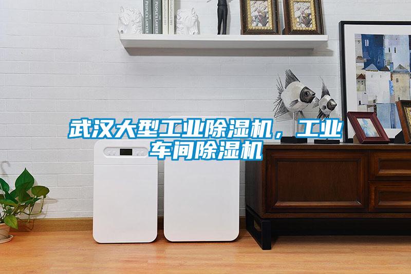武漢大型工業(yè)除濕機，工業(yè)車間除濕機