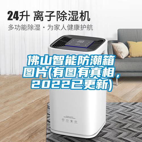佛山智能防潮箱圖片(有圖有真相，2022已更新)