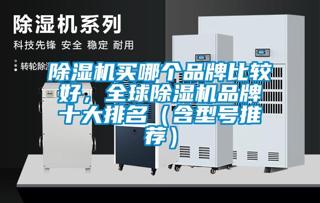 除濕機買哪個品牌比較好，全球除濕機品牌十大排名（含型號推薦）