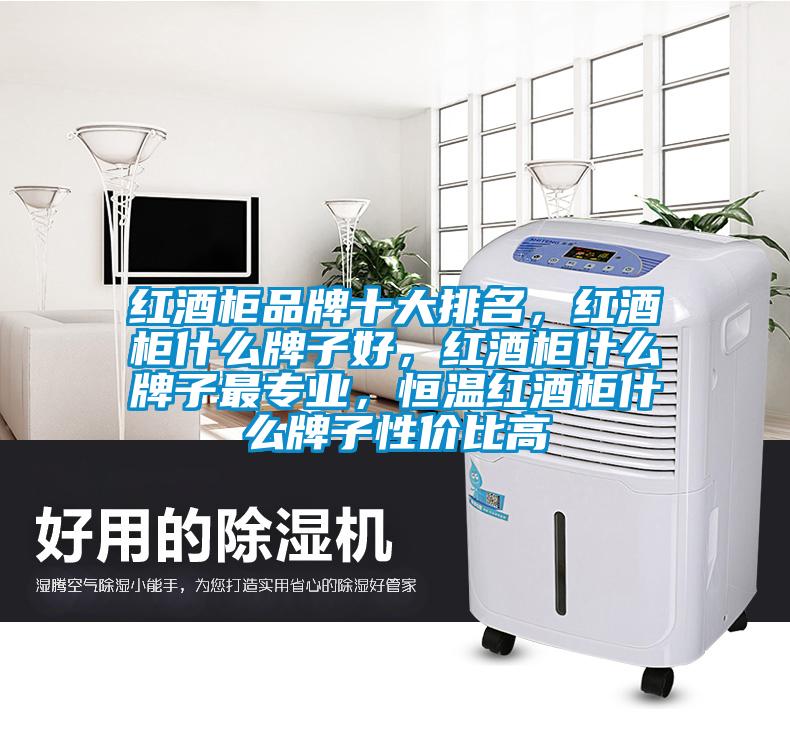 紅酒柜品牌十大排名，紅酒柜什么牌子好，紅酒柜什么牌子最專業(yè)，恒溫紅酒柜什么牌子性價比高