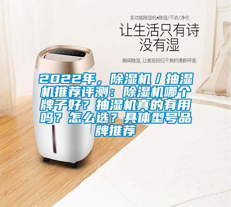 2022年，除濕機／抽濕機推薦評測：除濕機哪個牌子好？抽濕機真的有用嗎？怎么選？具體型號品牌推薦