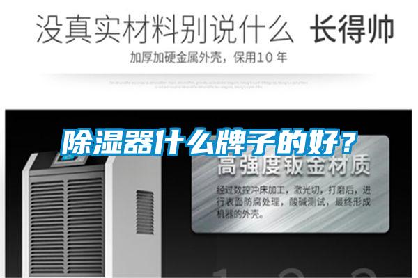 除濕器什么牌子的好？