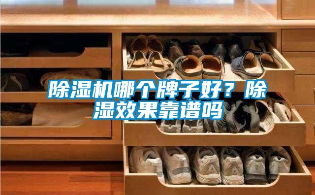 除濕機(jī)哪個(gè)牌子好？除濕效果靠譜嗎