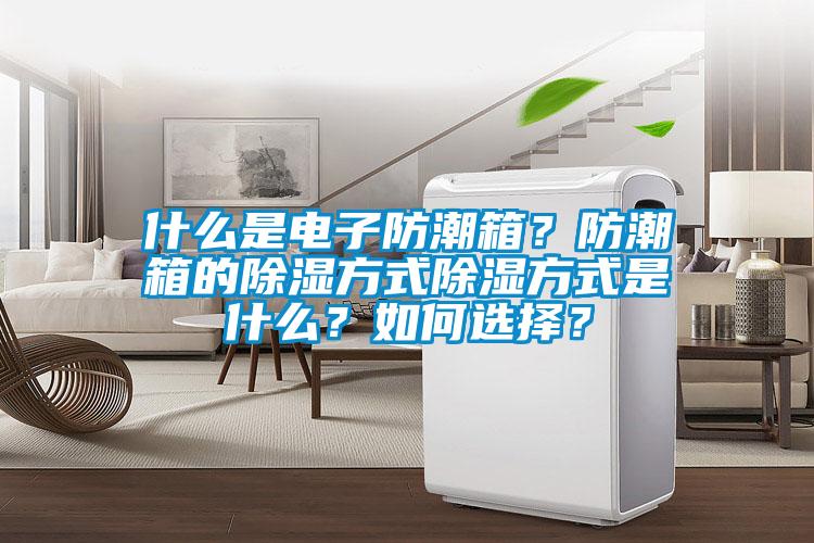 什么是電子防潮箱？防潮箱的除濕方式除濕方式是什么？如何選擇？