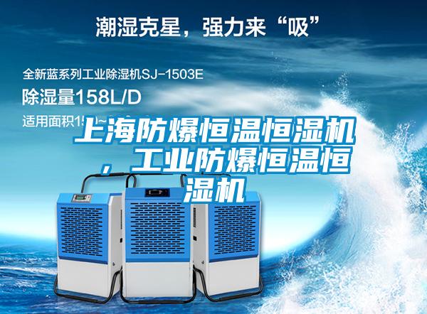 上海防爆恒溫恒濕機(jī) ，工業(yè)防爆恒溫恒濕機(jī)