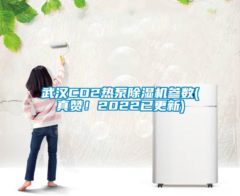 武漢CO2熱泵除濕機(jī)參數(shù)(真贊！2022已更新)