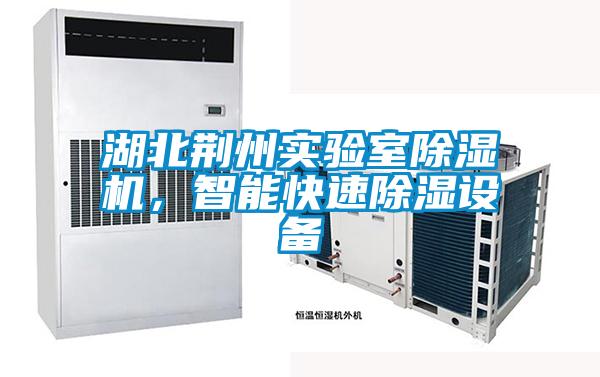 湖北荊州實驗室除濕機，智能快速除濕設(shè)備