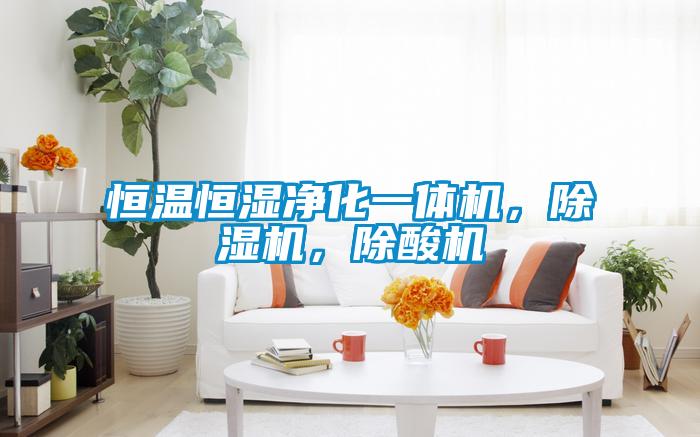 恒溫恒濕凈化一體機(jī)，除濕機(jī)，除酸機(jī)
