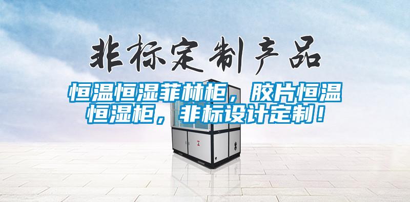 恒溫恒濕菲林柜，膠片恒溫恒濕柜，非標設(shè)計定制！