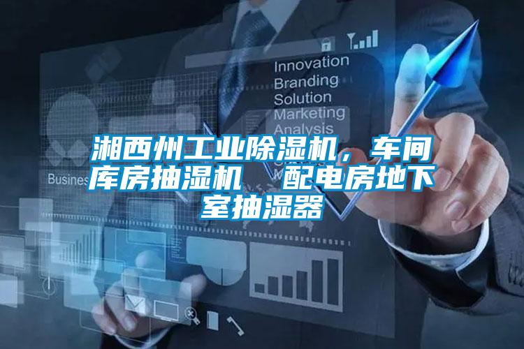 湘西州工業(yè)除濕機(jī)，車間庫房抽濕機(jī)  配電房地下室抽濕器