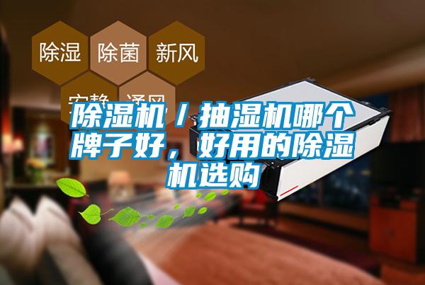 除濕機(jī)／抽濕機(jī)哪個(gè)牌子好，好用的除濕機(jī)選購(gòu)