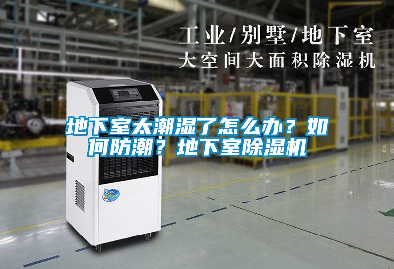 地下室太潮濕了怎么辦？如何防潮？地下室除濕機(jī)