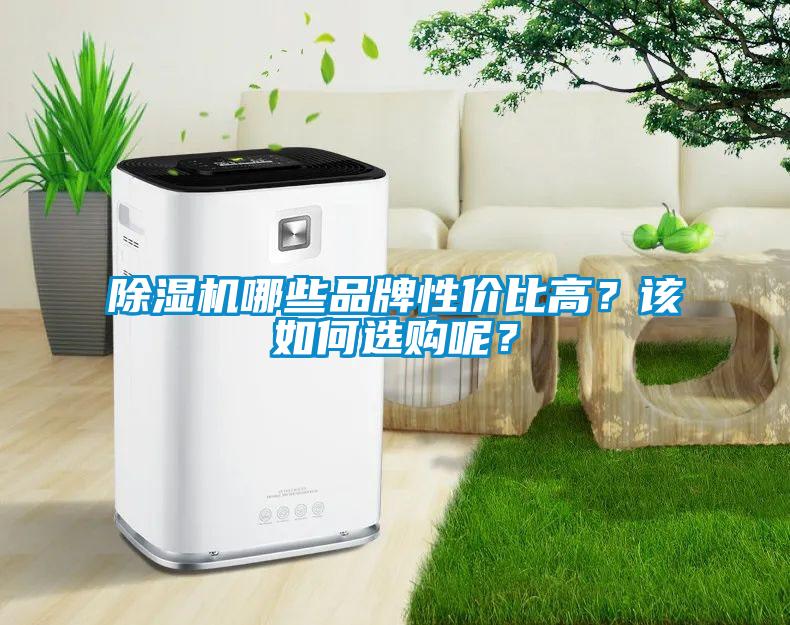除濕機(jī)哪些品牌性價(jià)比高？該如何選購(gòu)呢？