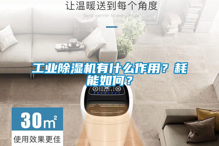 工業(yè)除濕機(jī)有什么作用？耗能如何？