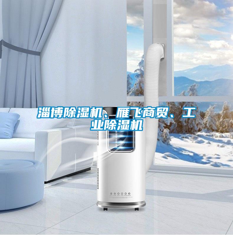 淄博除濕機(jī)、雁飛商貿(mào)、工業(yè)除濕機(jī)