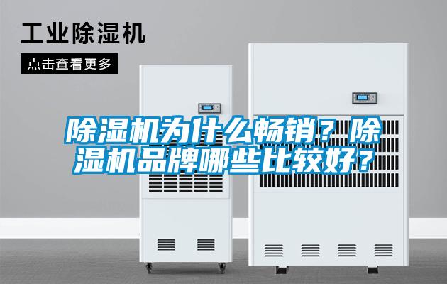 除濕機為什么暢銷？除濕機品牌哪些比較好？