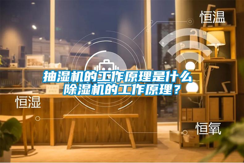 抽濕機(jī)的工作原理是什么 除濕機(jī)的工作原理？