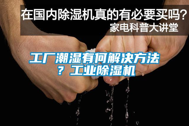 工廠潮濕有何解決方法？工業(yè)除濕機(jī)