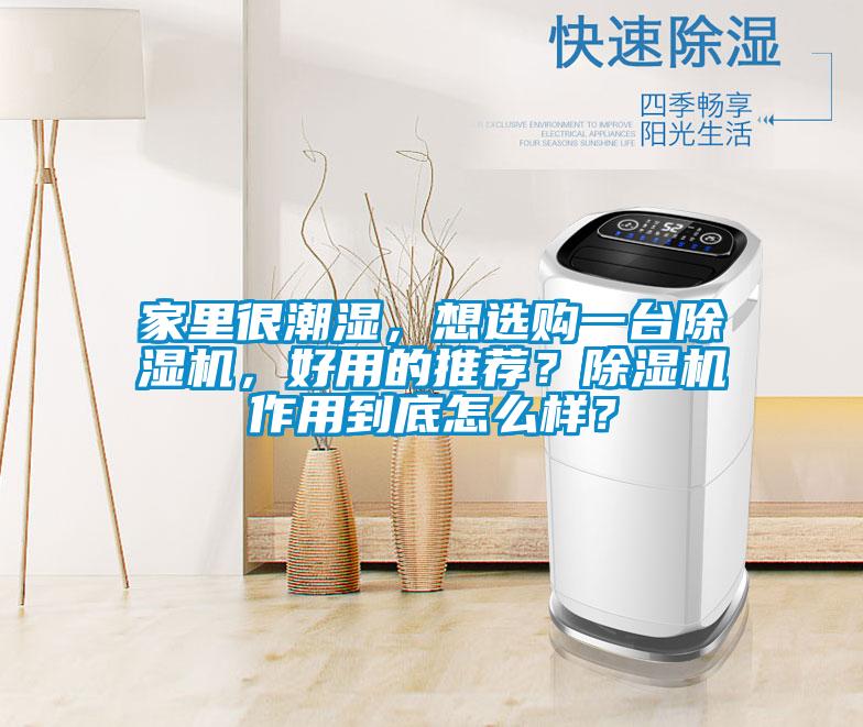 家里很潮濕，想選購(gòu)一臺(tái)除濕機(jī)，好用的推薦？除濕機(jī)作用到底怎么樣？