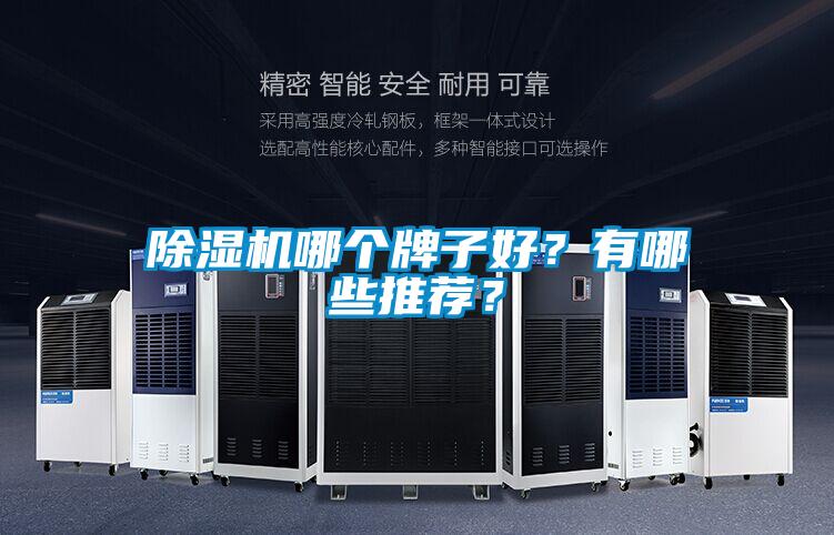 除濕機(jī)哪個牌子好？有哪些推薦？