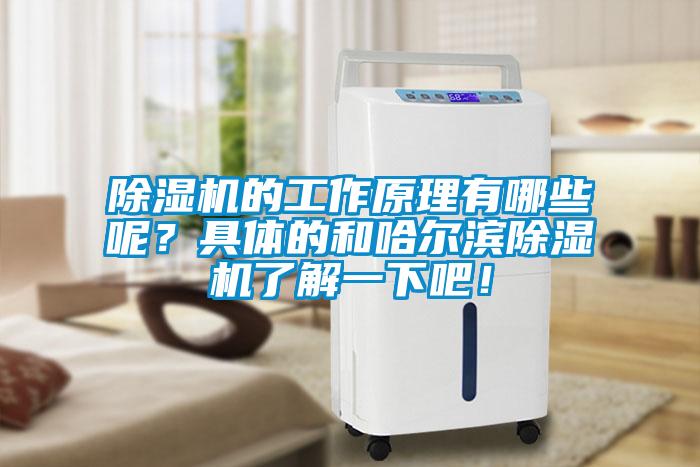 除濕機(jī)的工作原理有哪些呢？具體的和哈爾濱除濕機(jī)了解一下吧！
