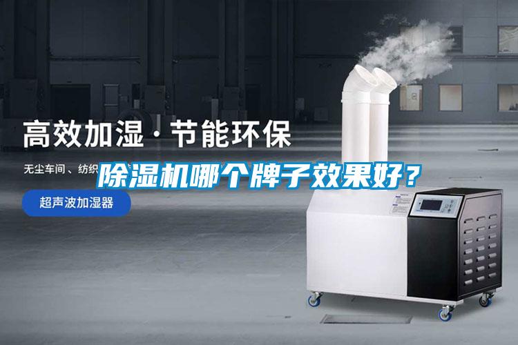 除濕機(jī)哪個(gè)牌子效果好？