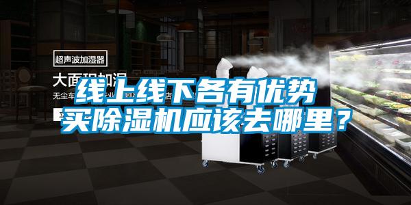 線上線下各有優(yōu)勢(shì) 買除濕機(jī)應(yīng)該去哪里？