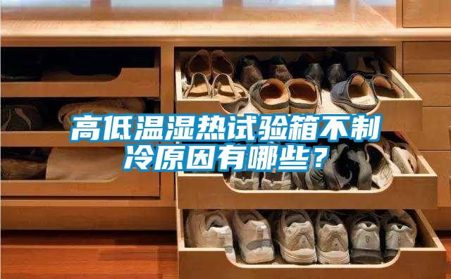 高低溫濕熱試驗箱不制冷原因有哪些？