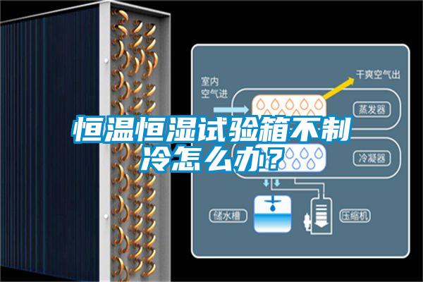 恒溫恒濕試驗(yàn)箱不制冷怎么辦？