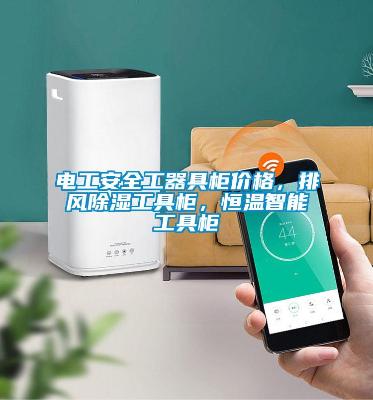電工安全工器具柜價格，排風(fēng)除濕工具柜，恒溫智能工具柜
