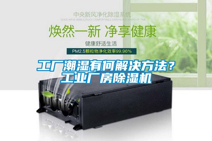 工廠潮濕有何解決方法？工業(yè)廠房除濕機(jī)