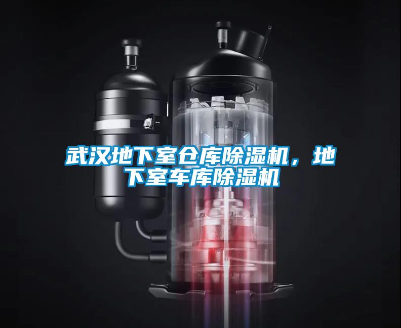 武漢地下室倉(cāng)庫(kù)除濕機(jī)，地下室車庫(kù)除濕機(jī)