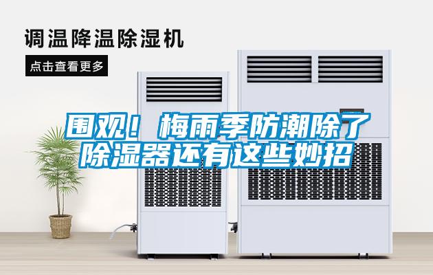 圍觀！梅雨季防潮除了除濕器還有這些妙招
