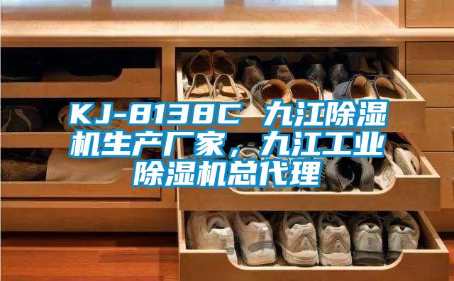 KJ-8138C 九江除濕機(jī)生產(chǎn)廠家，九江工業(yè)除濕機(jī)總代理