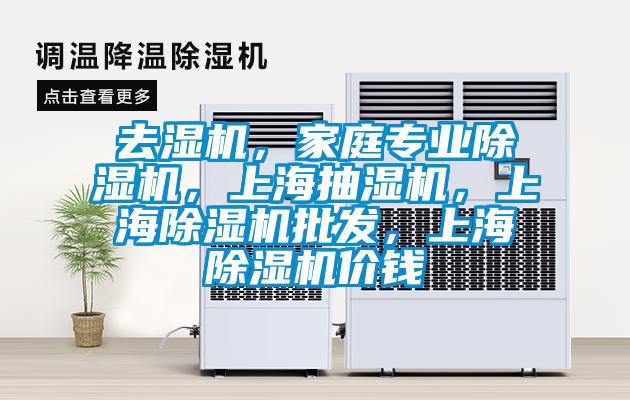 去濕機，家庭專業(yè)除濕機，上海抽濕機，上海除濕機批發(fā)，上海除濕機價錢