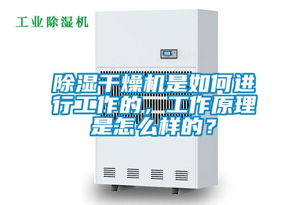 除濕干燥機(jī)是如何進(jìn)行工作的，工作原理是怎么樣的？